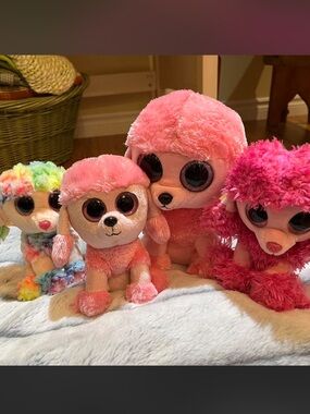Ty Beanie Boo Poodle Dogs Bundle. All for $18